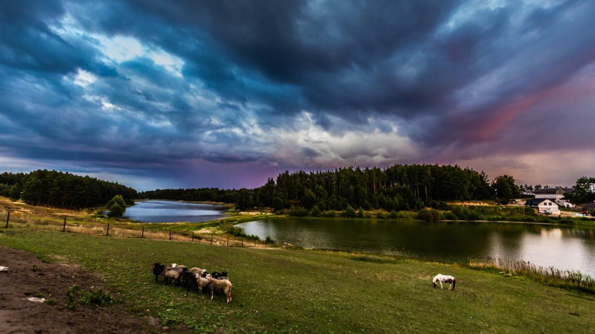 Gospodarstwo Agroturystyczne Cyrson Studzienice Экстерьер фото